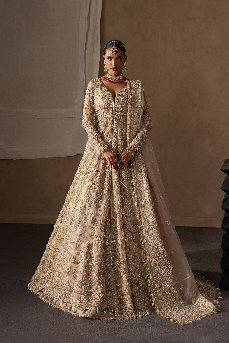 Catarine by Afrozeh | Luxury Bridal & Festive Wear – Article 101