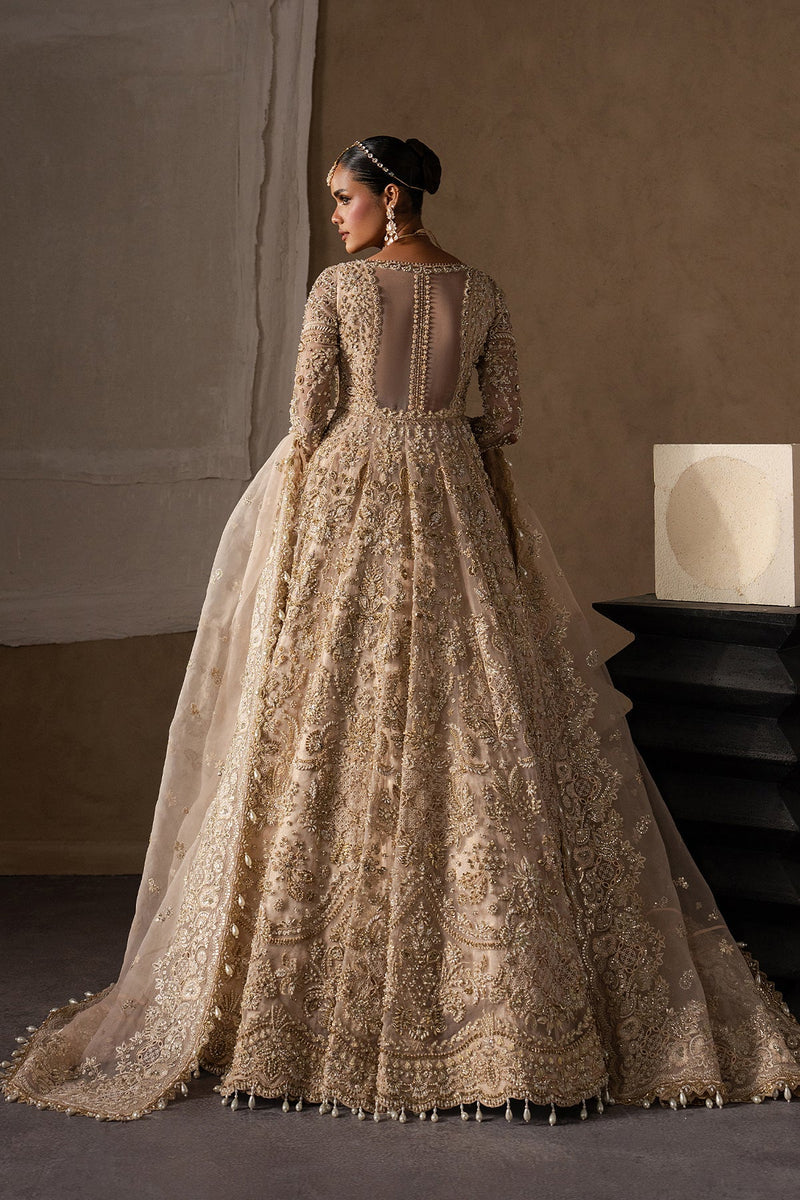 Catarine by Afrozeh | Luxury Bridal & Festive Wear – Article 101