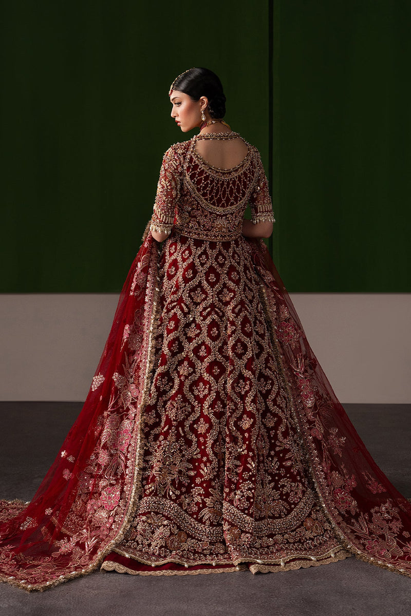 Rosaline by Afrozeh – Luxury Bridal & Festive Wear– Article 106