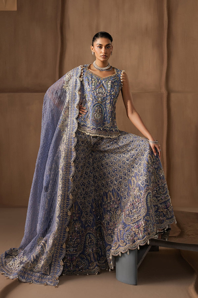 Arabella by Afrozeh – Luxury Bridal & Festive Wear– Article 107