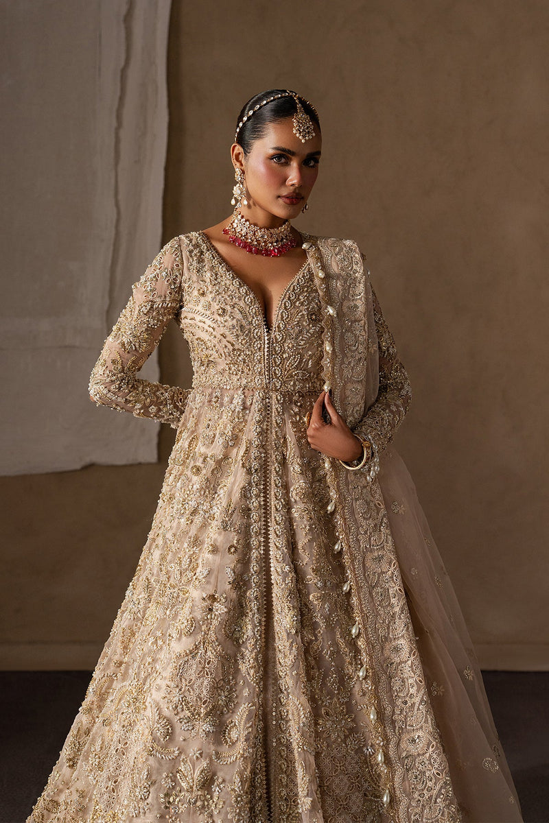Catarine by Afrozeh | Luxury Bridal & Festive Wear – Article 101