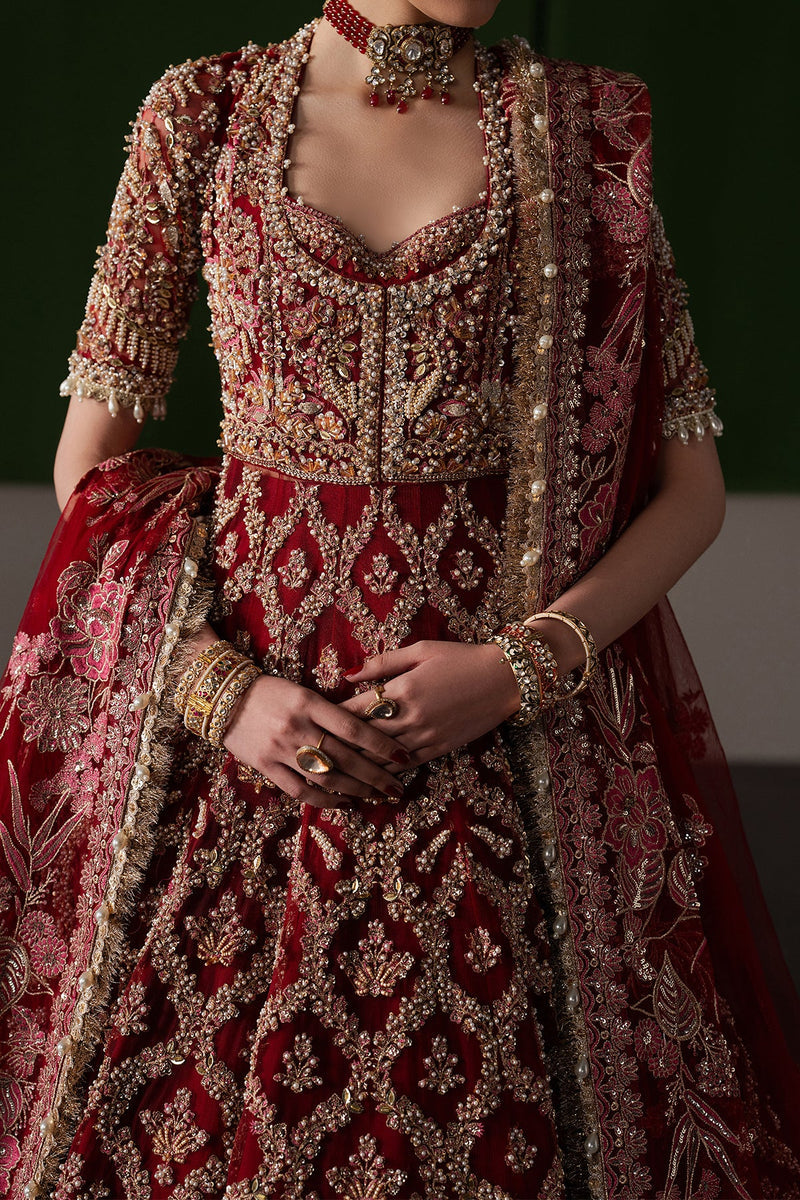 Rosaline by Afrozeh – Luxury Bridal & Festive Wear– Article 106