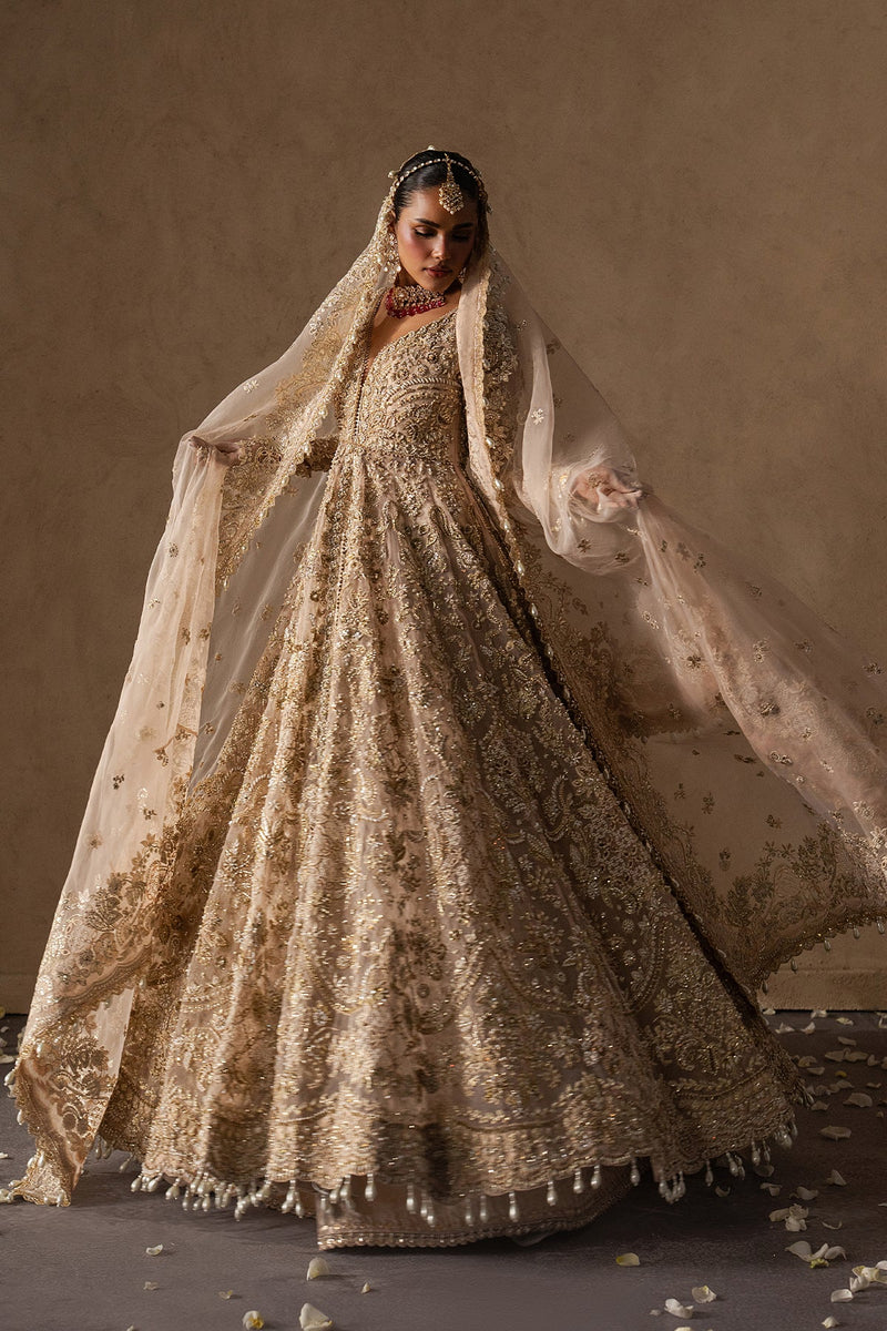 Catarine by Afrozeh | Luxury Bridal & Festive Wear – Article 101