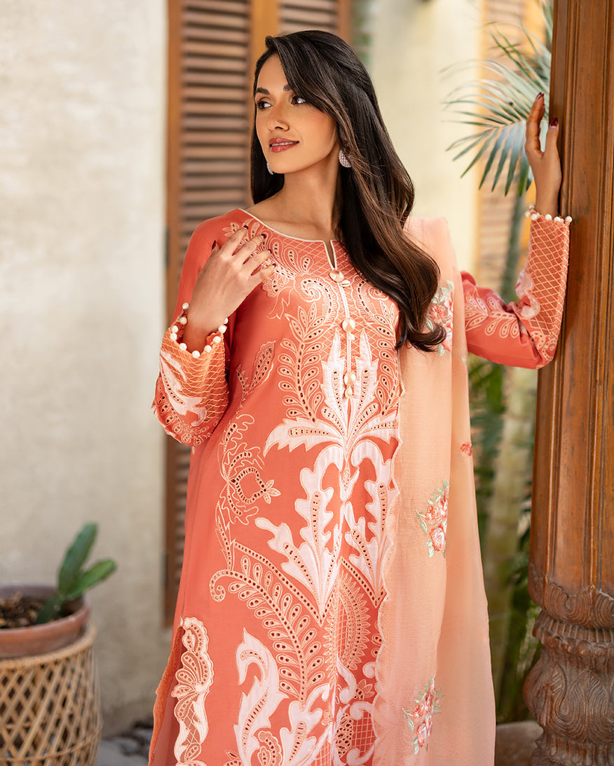 Avienne | Astoria By Mushq Pakistani suit detail view M&M Couture USA