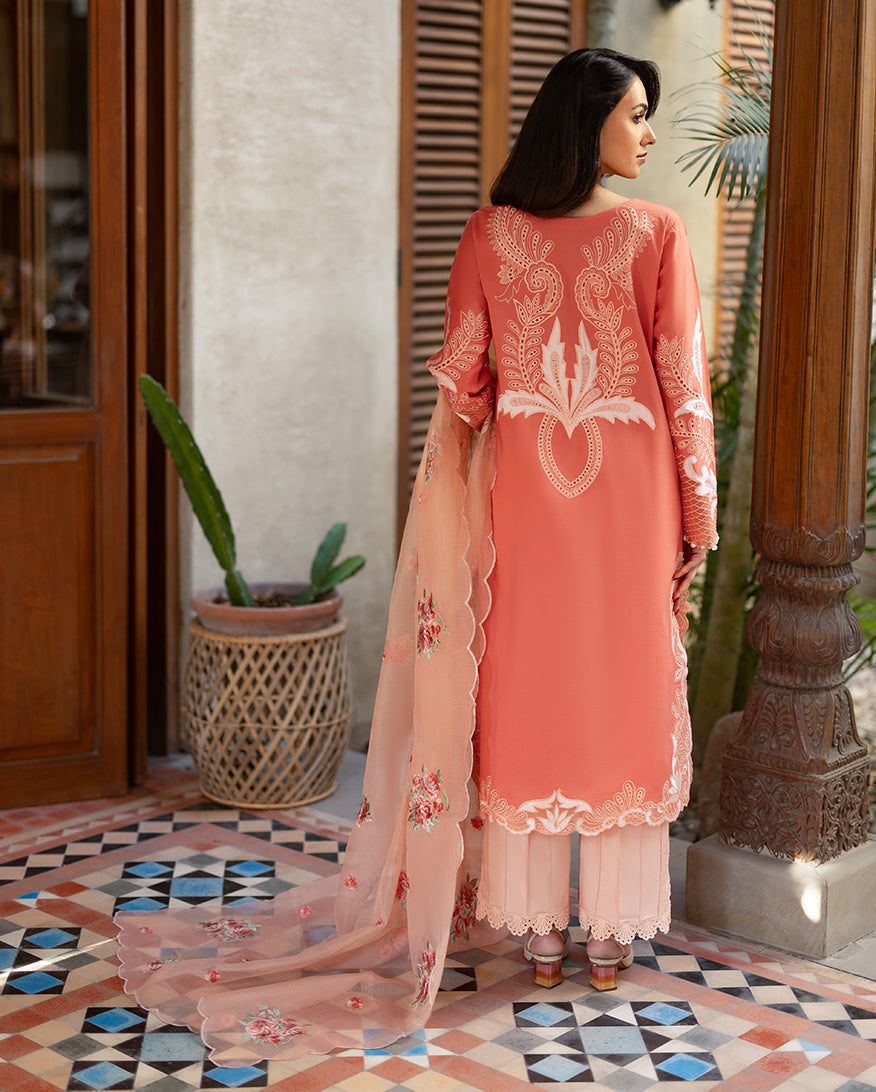 Avienne | Astoria By Mushq Pakistani suit dupatta view M&M Couture USA
